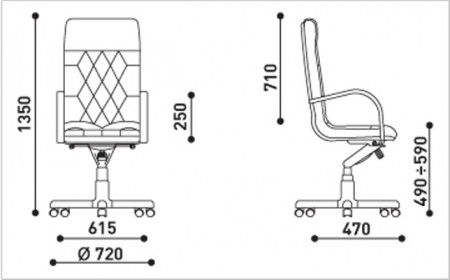 Кресло FIDEL Extra в классическом дизайне 3